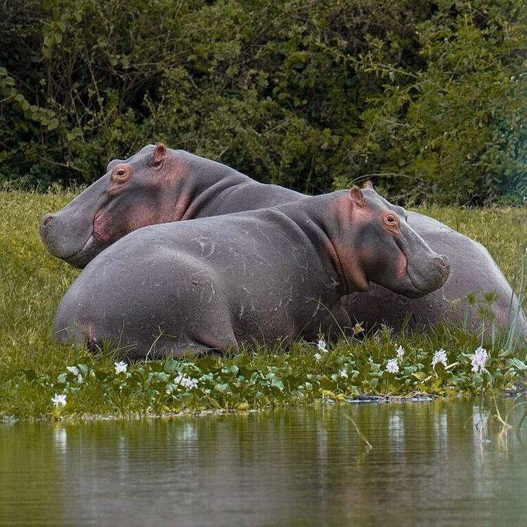 SIRRO SAFARIS UGANDA