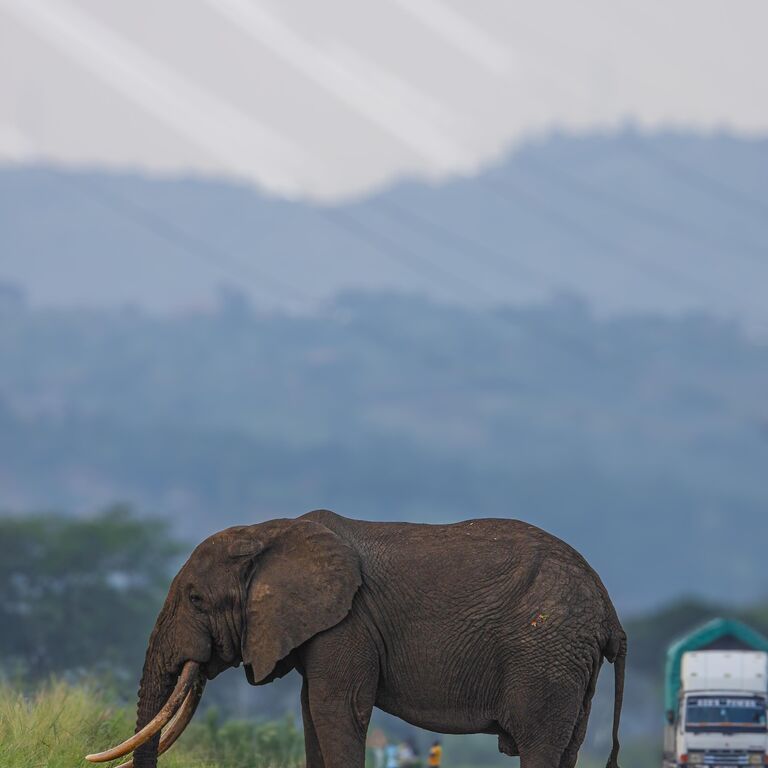 SIRRO SAFARIS UGANDA