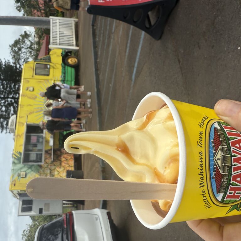KIKOS TOURS OAHU LLC