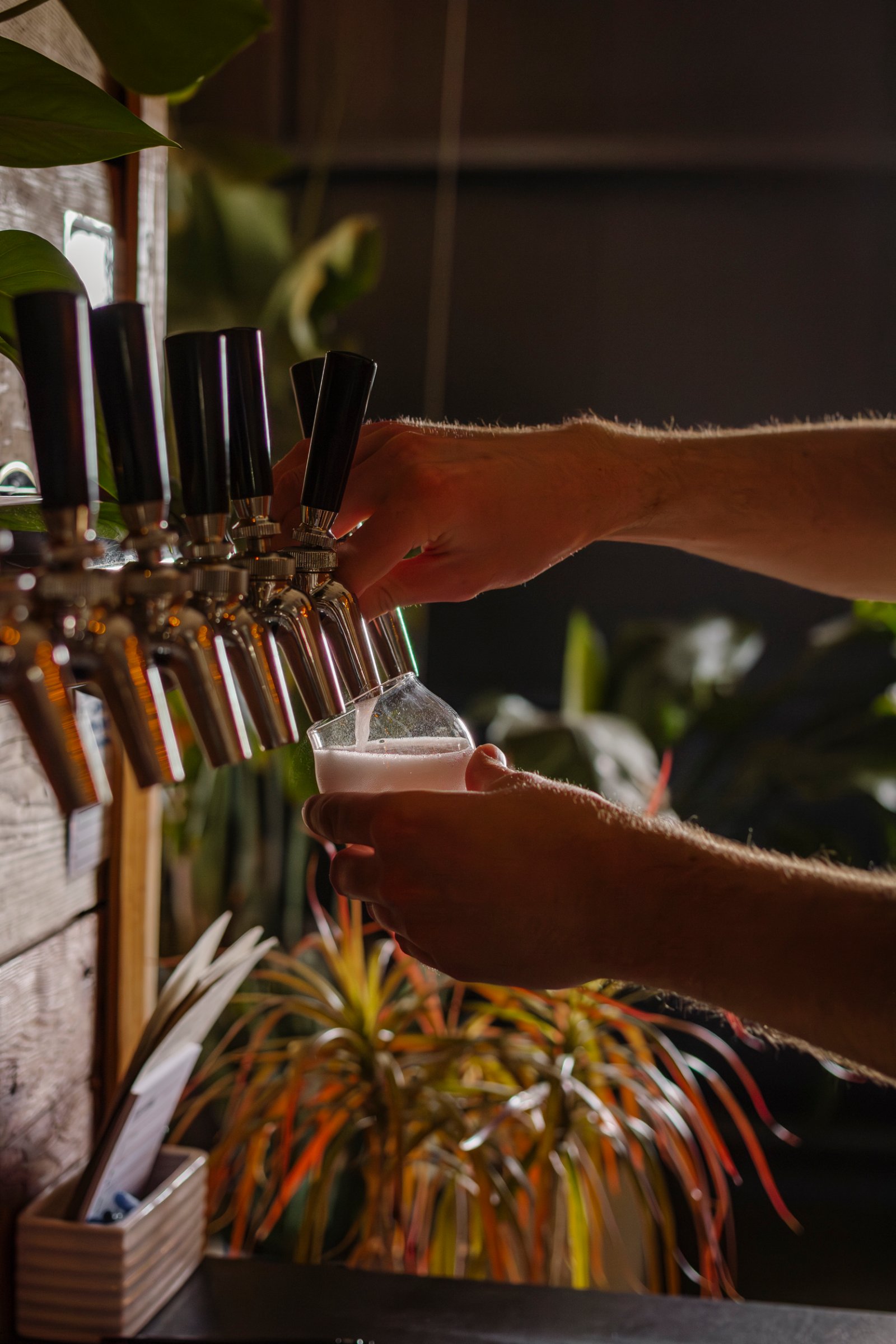 Dead Horse Cider Co