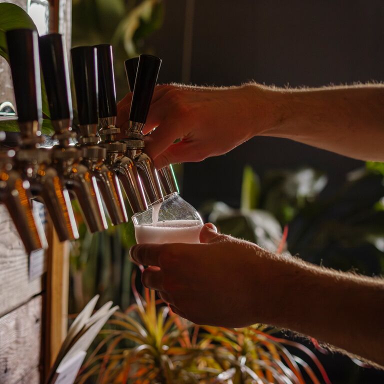 Dead Horse Cider Co