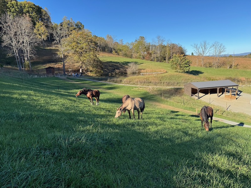 HapBE Valley