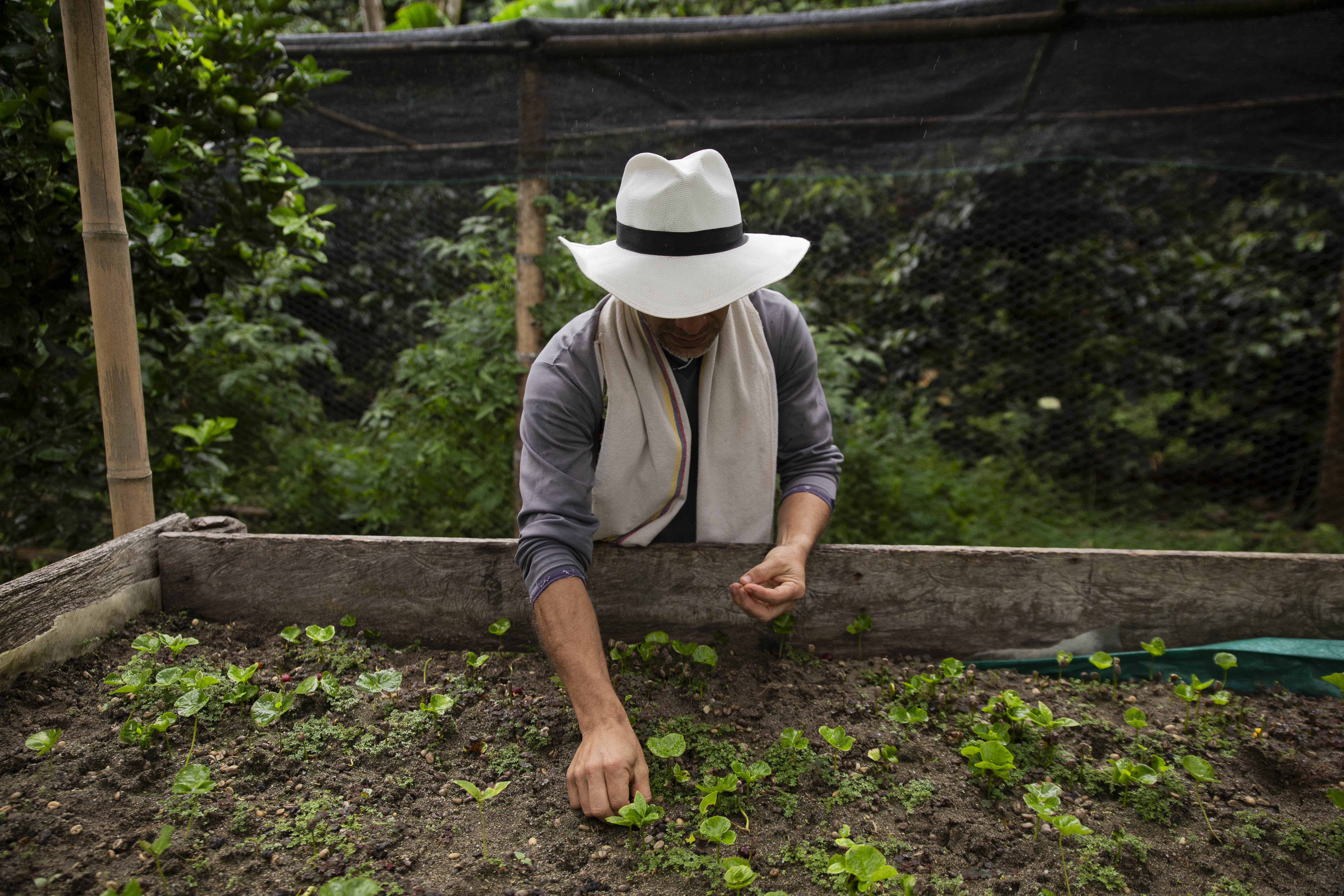 FINCA CAFETERA DON ELIAS