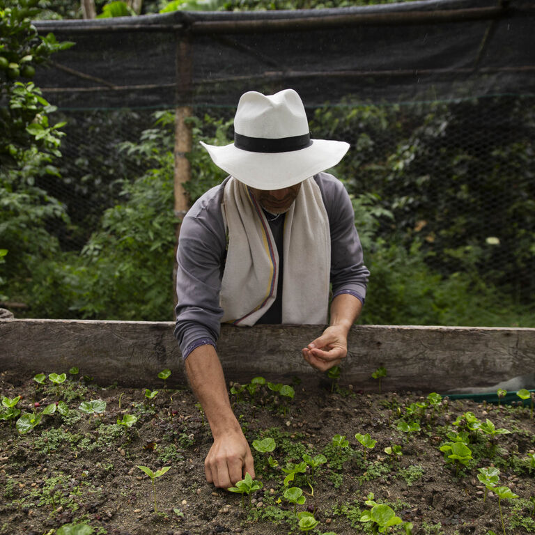 FINCA CAFETERA DON ELIAS