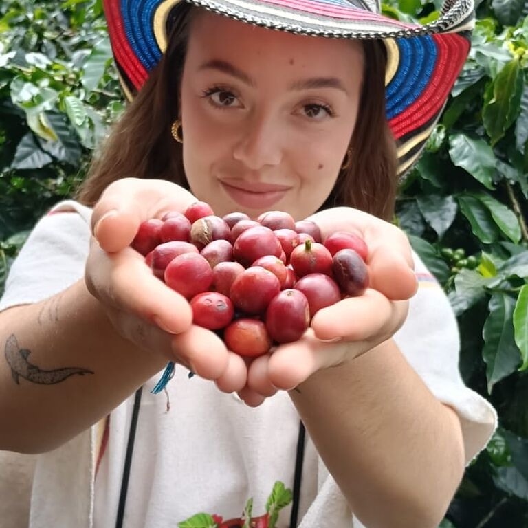 FINCA CAFETERA DON ELIAS