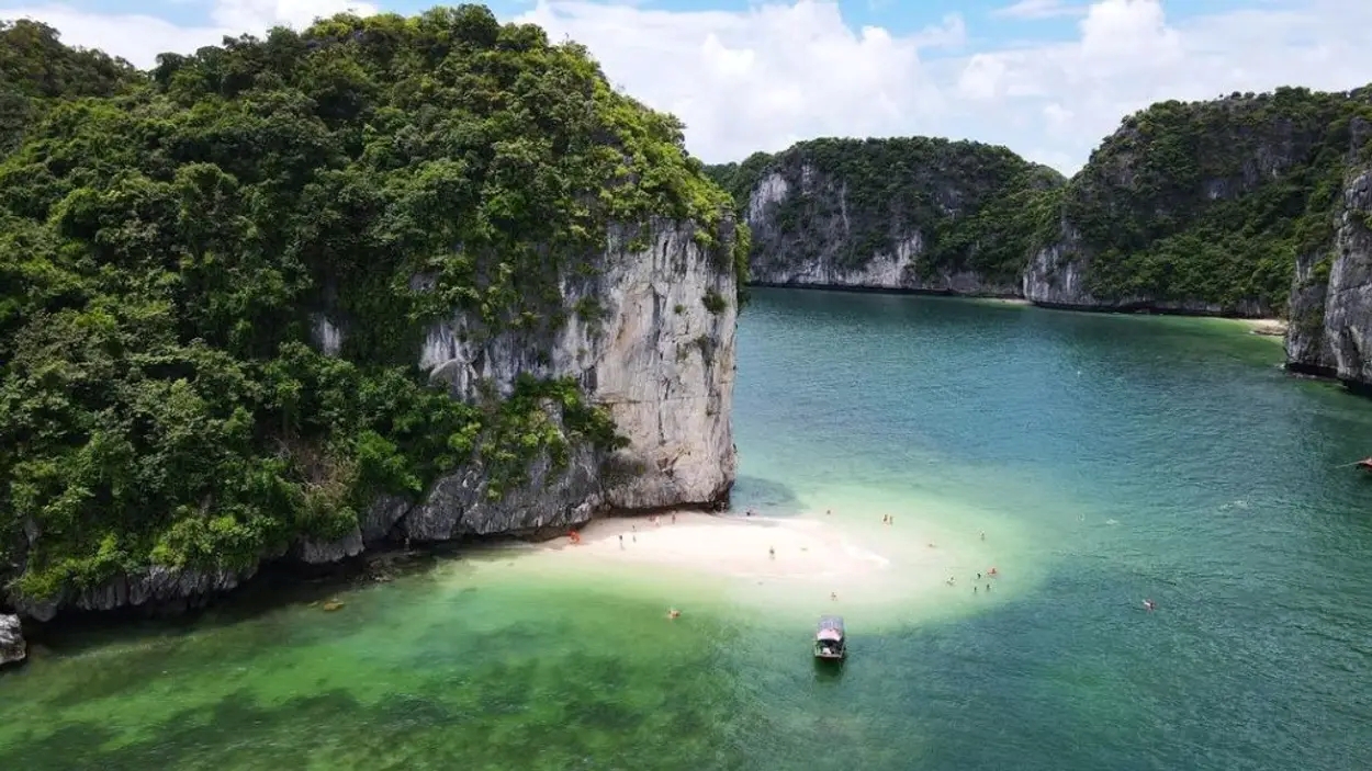 OCEAN OASIS TRAVEL LTD