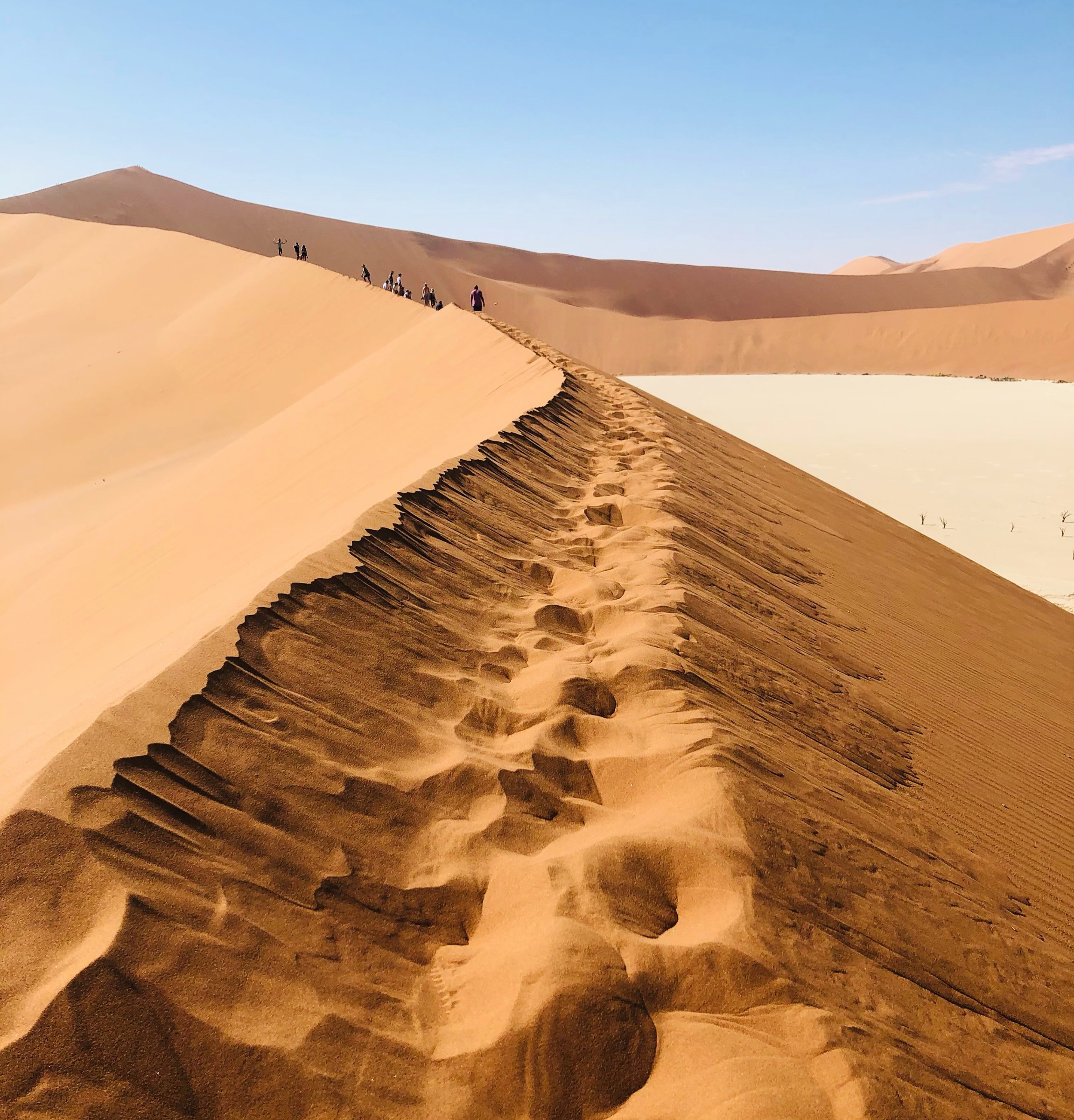 Rafiki Tours and Safaris Cc