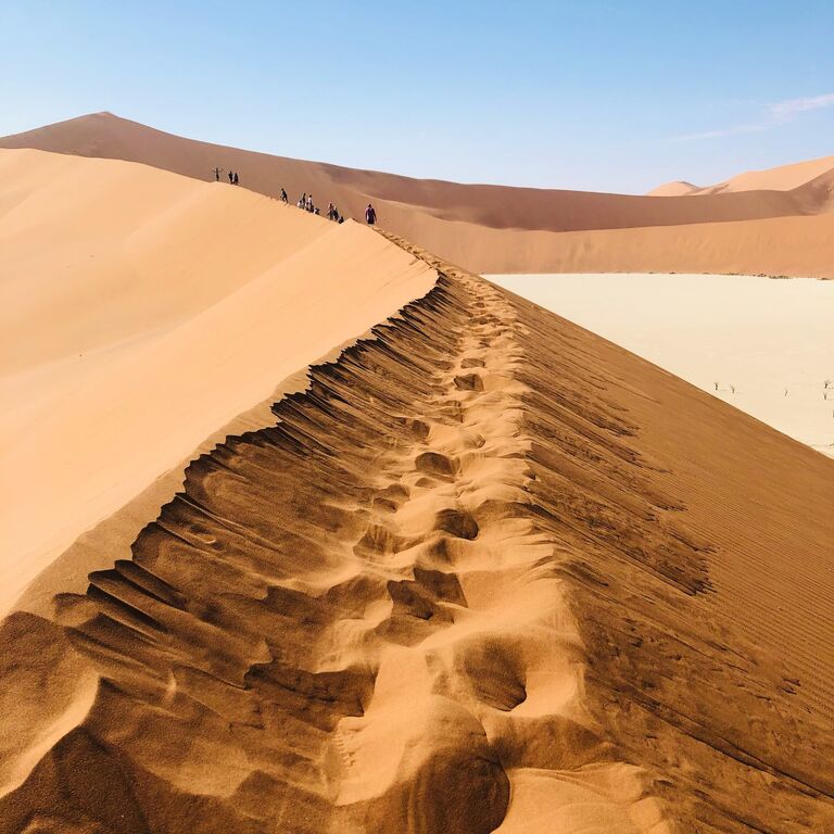 Rafiki Tours and Safaris Cc