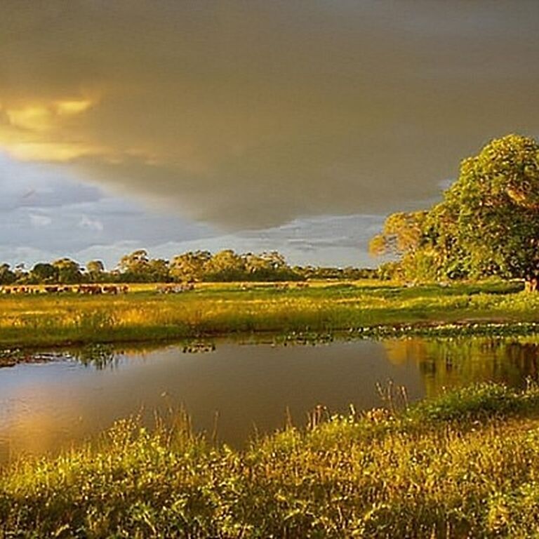 Ecoverde Tours