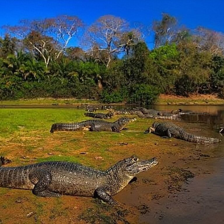 Ecoverde Tours