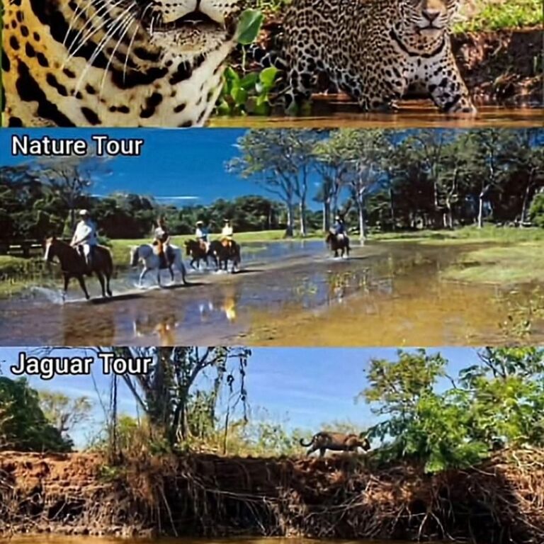 Ecoverde Tours