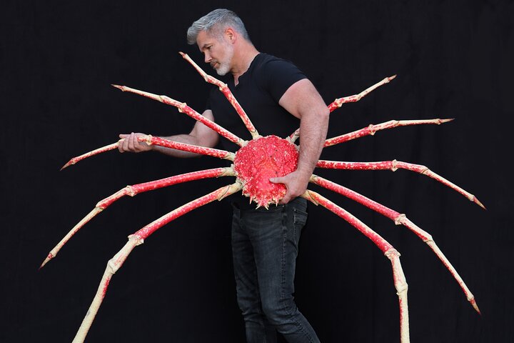 Exquisite Creatures Exhibit