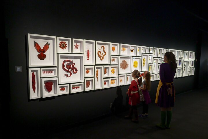 Exquisite Creatures Exhibit