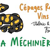 La Méchinière
