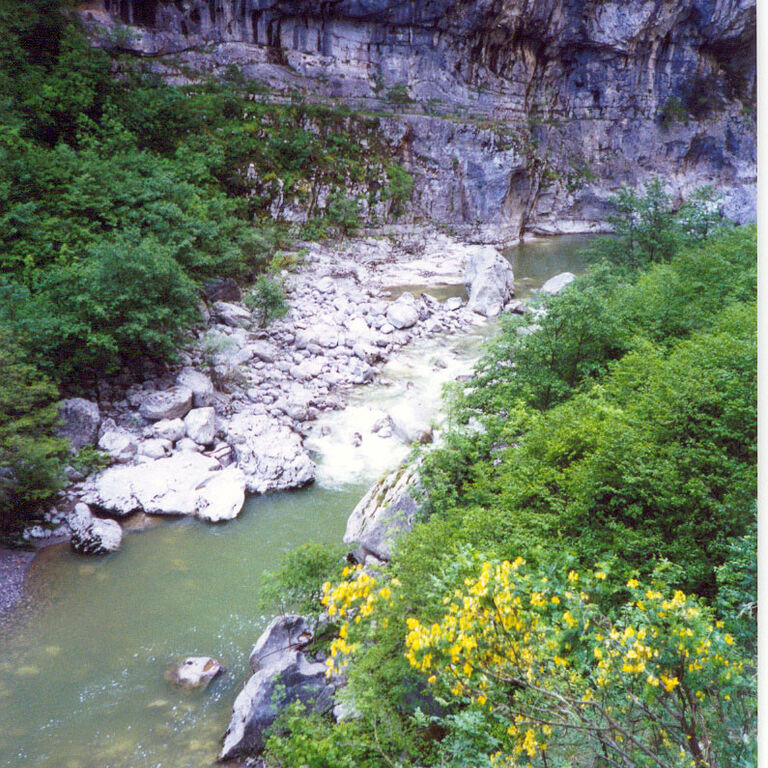 Hikes 4 All
