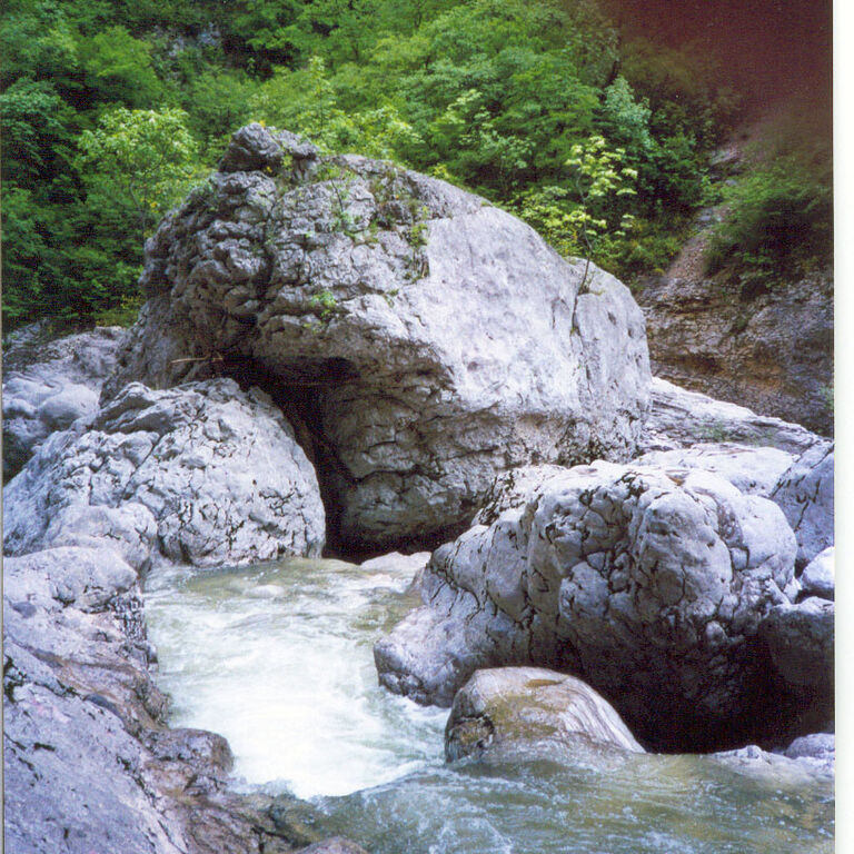Hikes 4 All