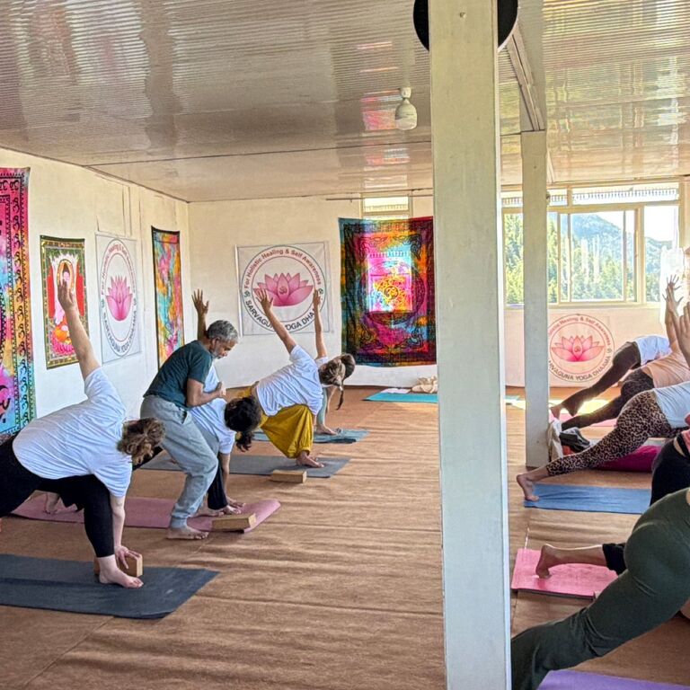 Sarvaguna Yoga school