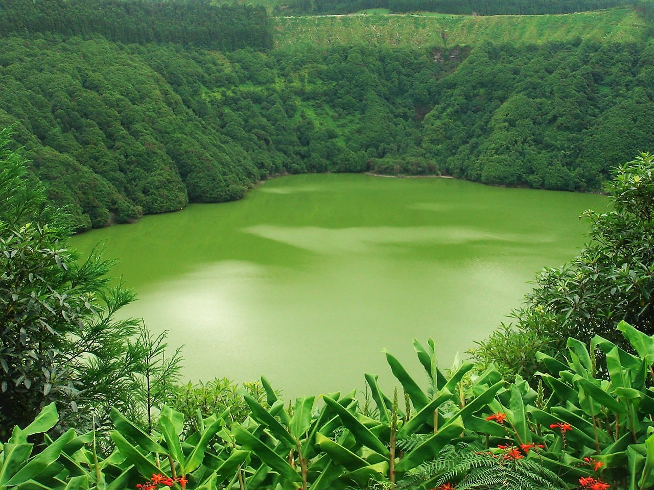 Azores Magic Tours
