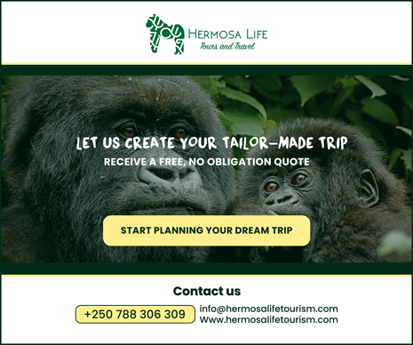 Hermosa Life Tours and Travel