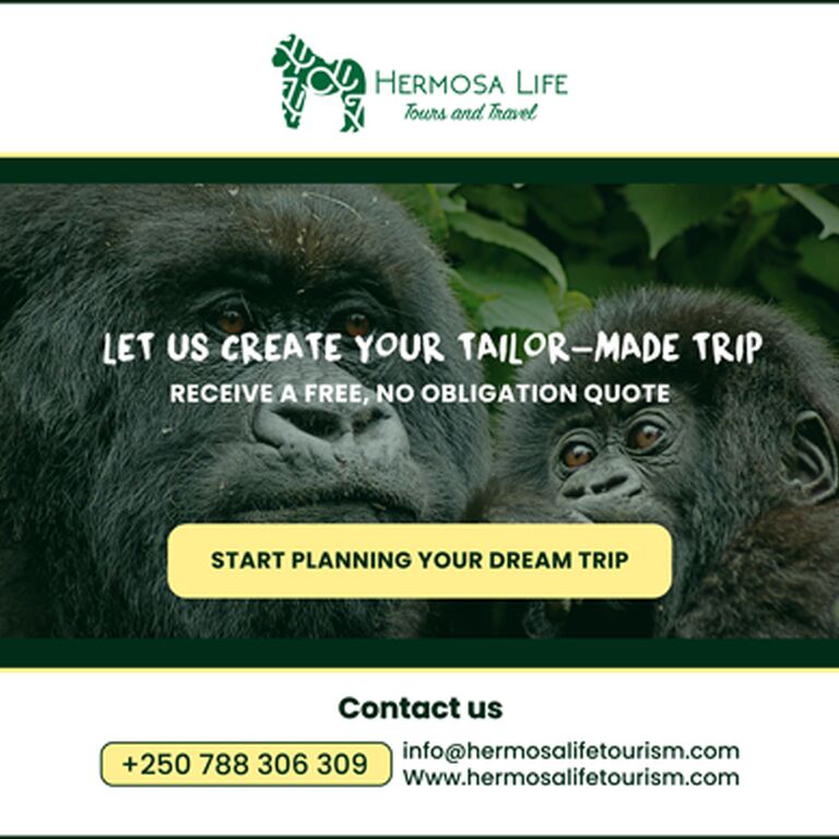 Hermosa Life Tours and Travel