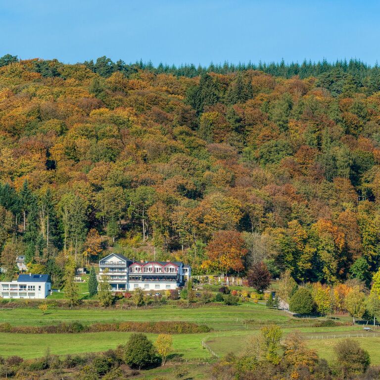 Waldhotel Sonnenberg