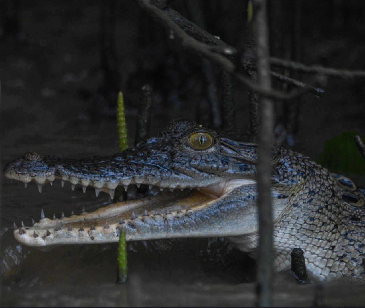 City MPV Travel & Tours