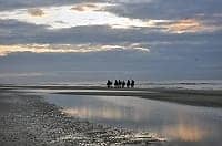 Puur Terschelling