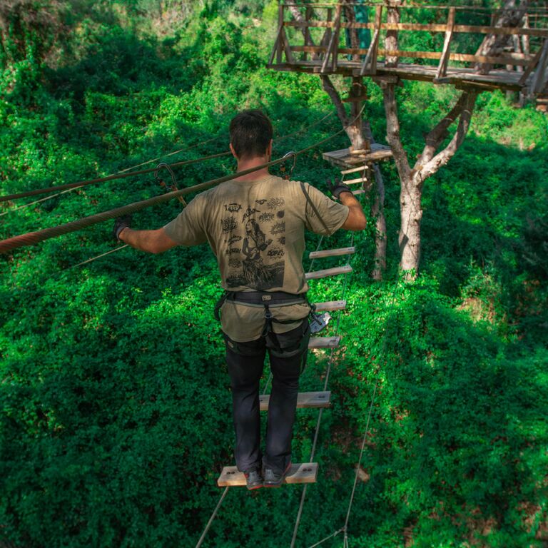 Jungle-Trek