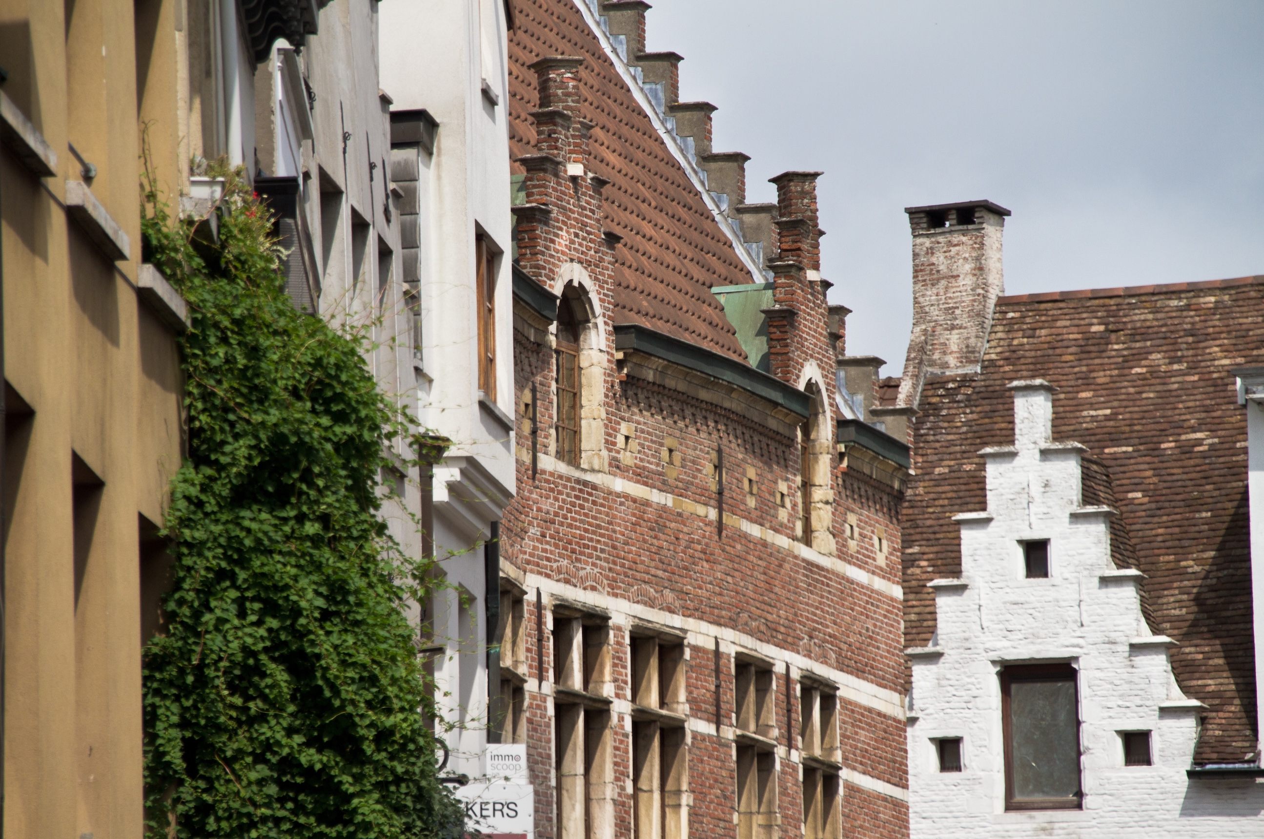 Antwerp City Host