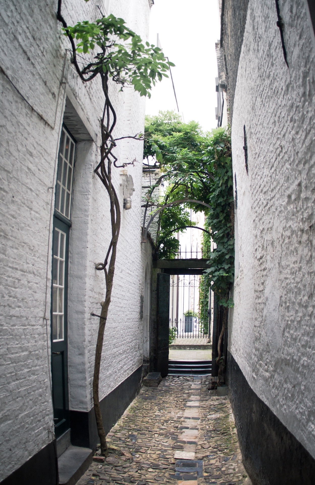 Antwerp City Host
