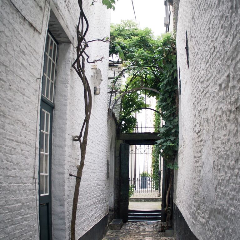 Antwerp City Host