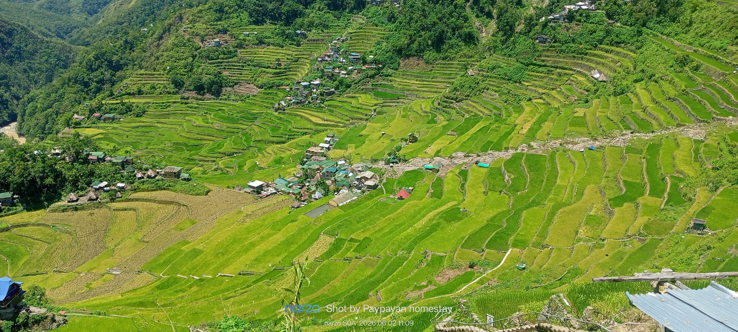banaue tourguide trekking