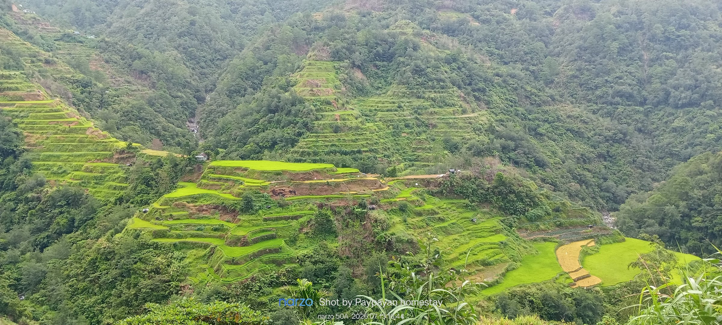 banaue tourguide trekking