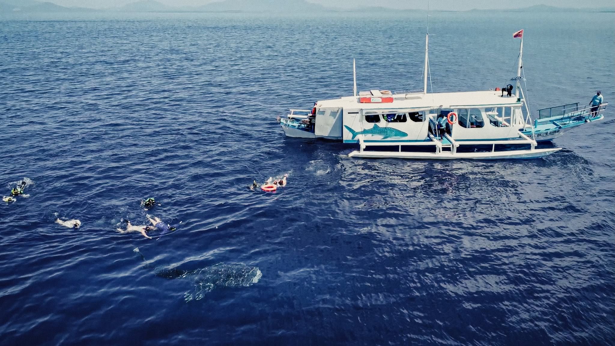 WILD EXPEDITIONS PALAWAN