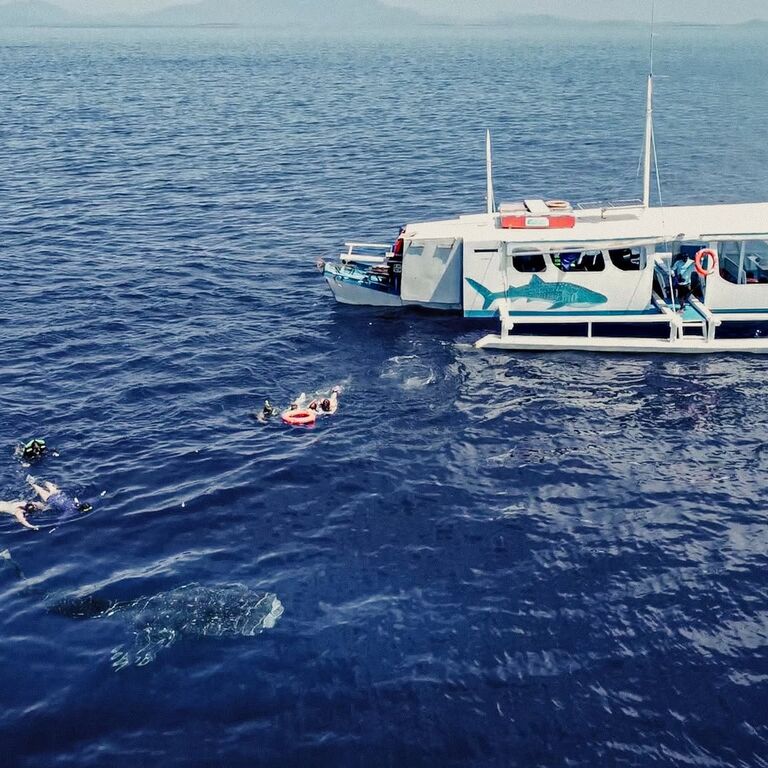 WILD EXPEDITIONS PALAWAN