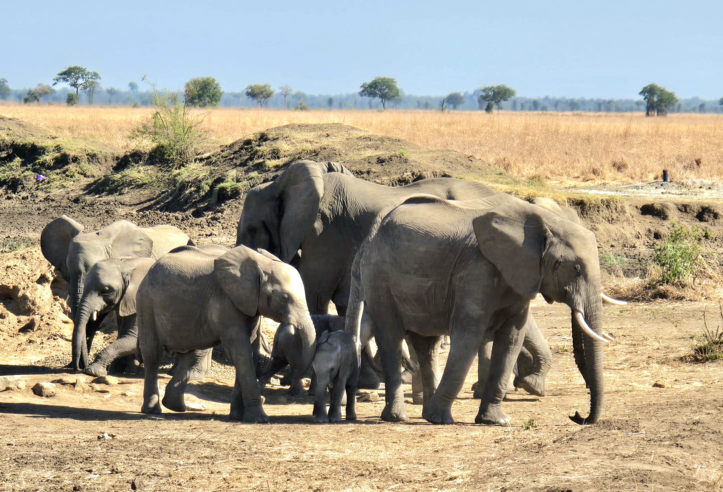 Kajode Wanderlust Wonders