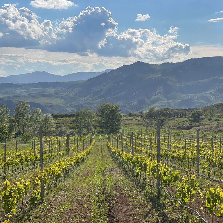 Krya Wines