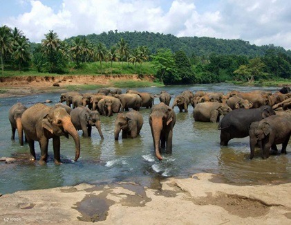 SL1 TRAVELS