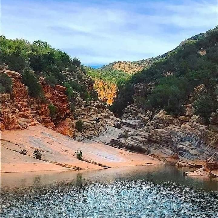 Surf Coaching Morocco Lessons