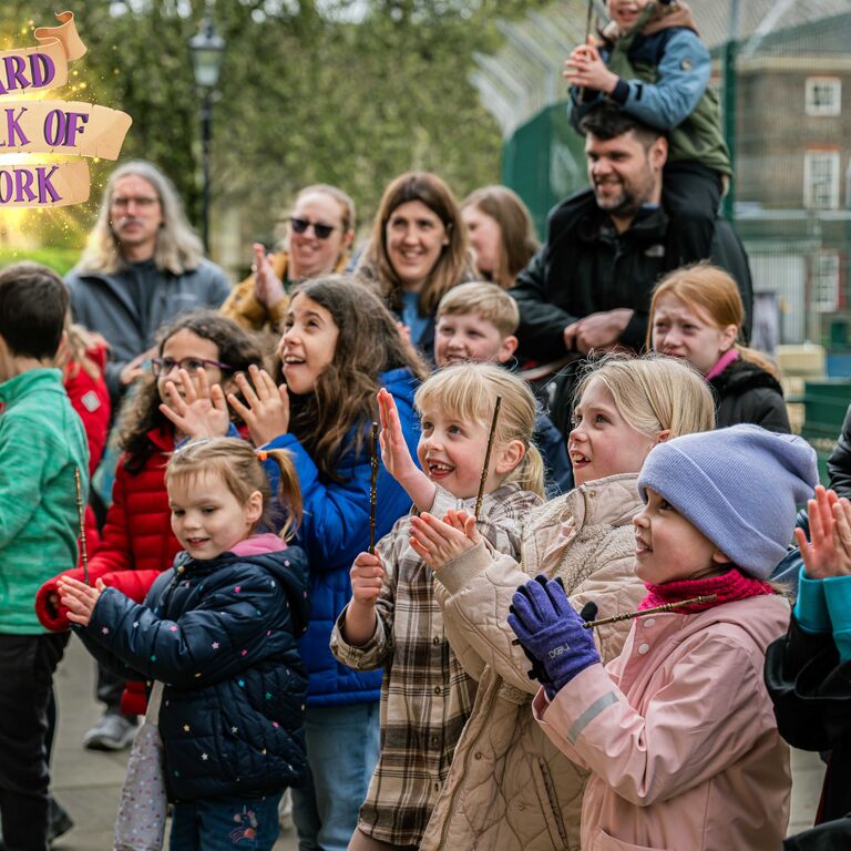 The Wizard Walk of York