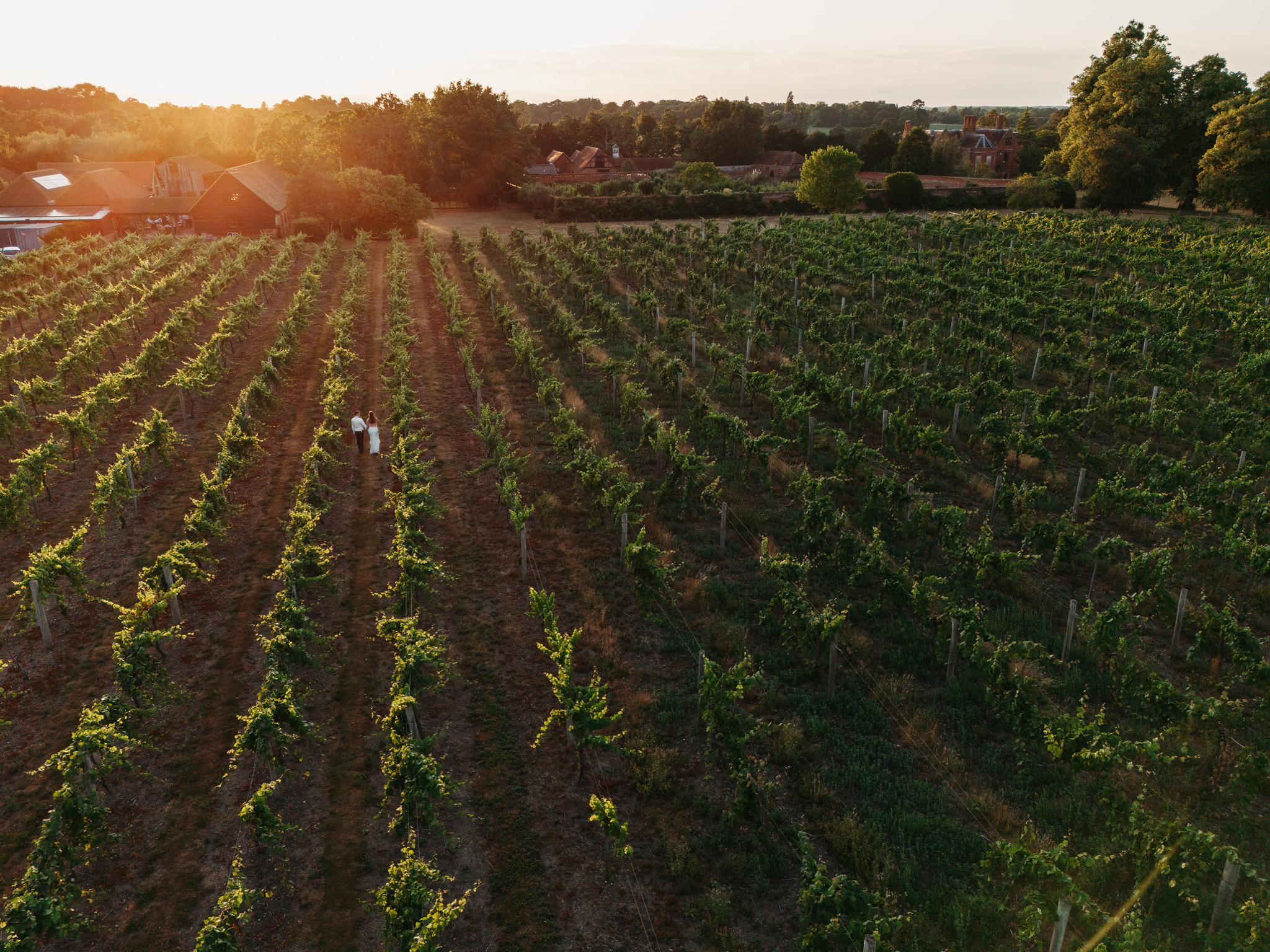Stanlake Park Wine Estate