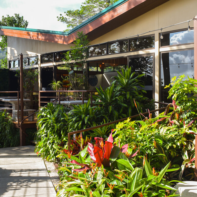 Ambar Cacao Restaurant