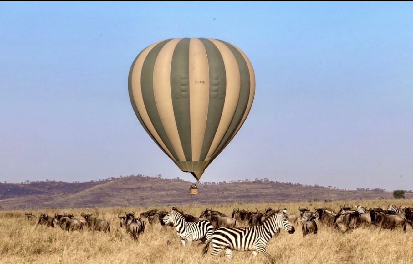 Asili Yetu Safaris