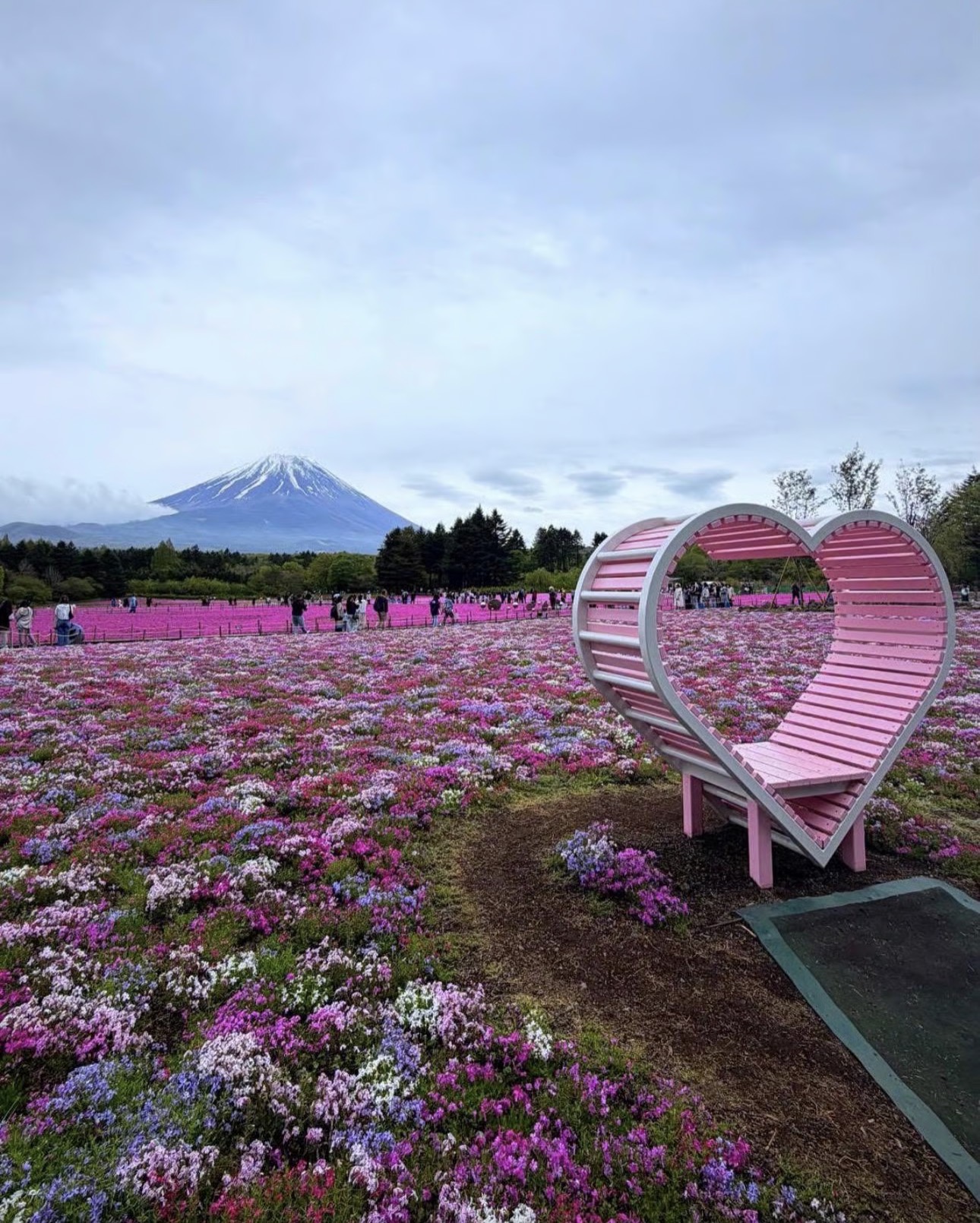 pic