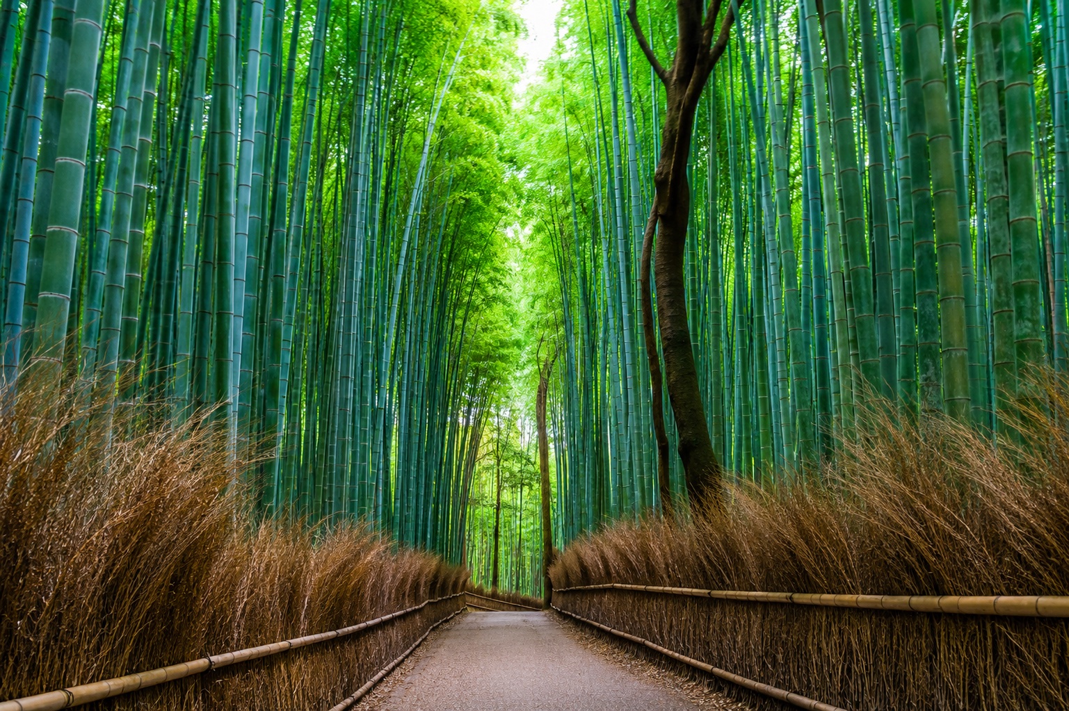 pic