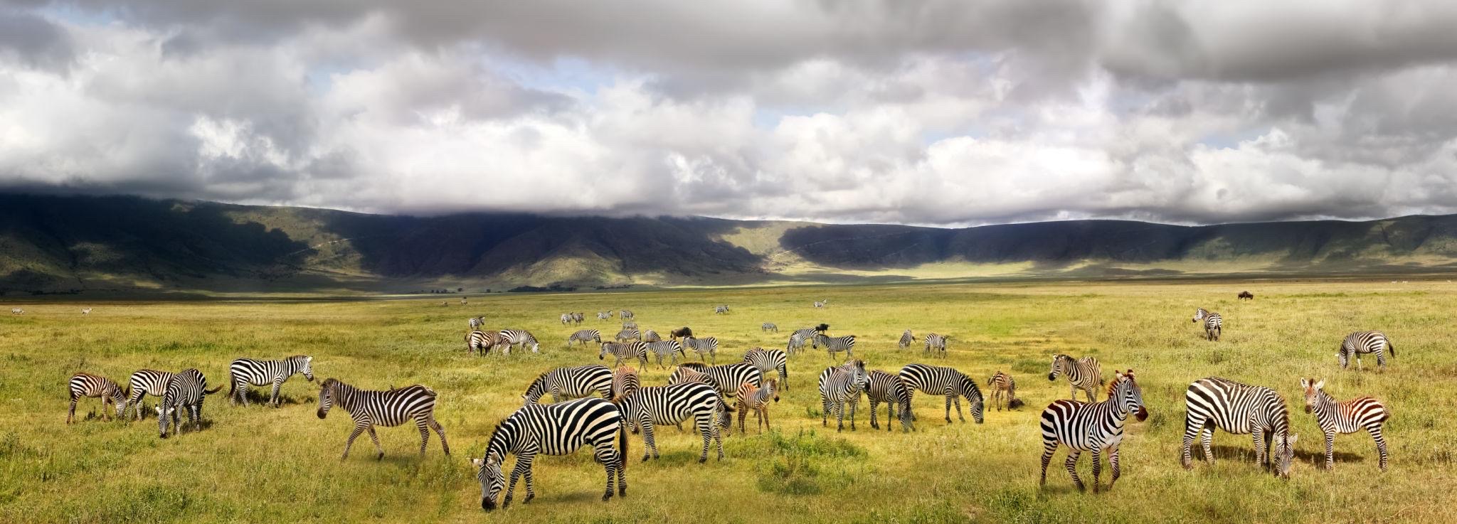 Sk safaris & adventure