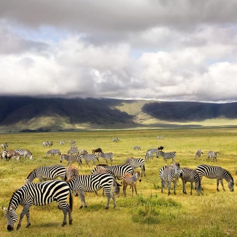 Sk safaris & adventure