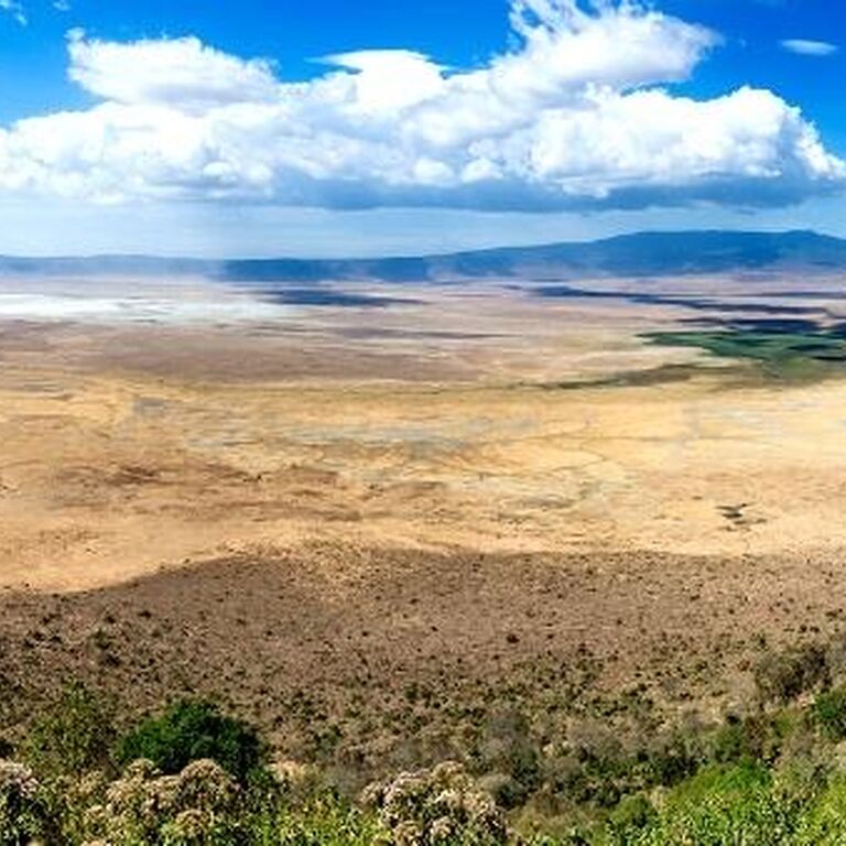 Sk safaris & adventure