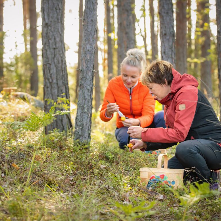 Best Lake Nature Adventures