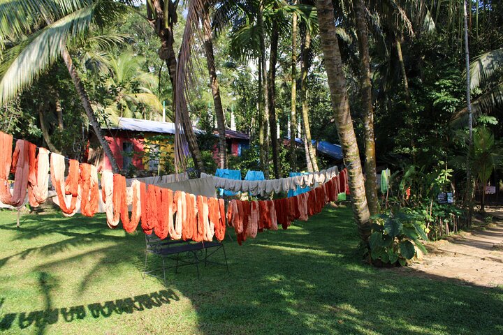 Explore Galle's Hidden Gems & Dine with Locals